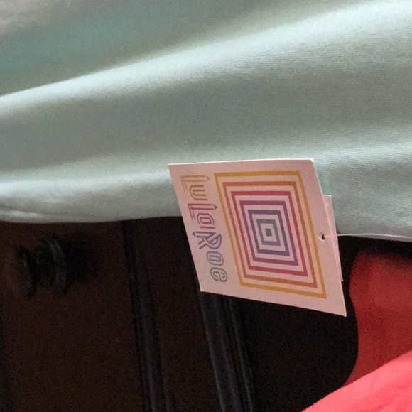 NWT Lularoe Julia Raglan Dress - Picture 4 of 5